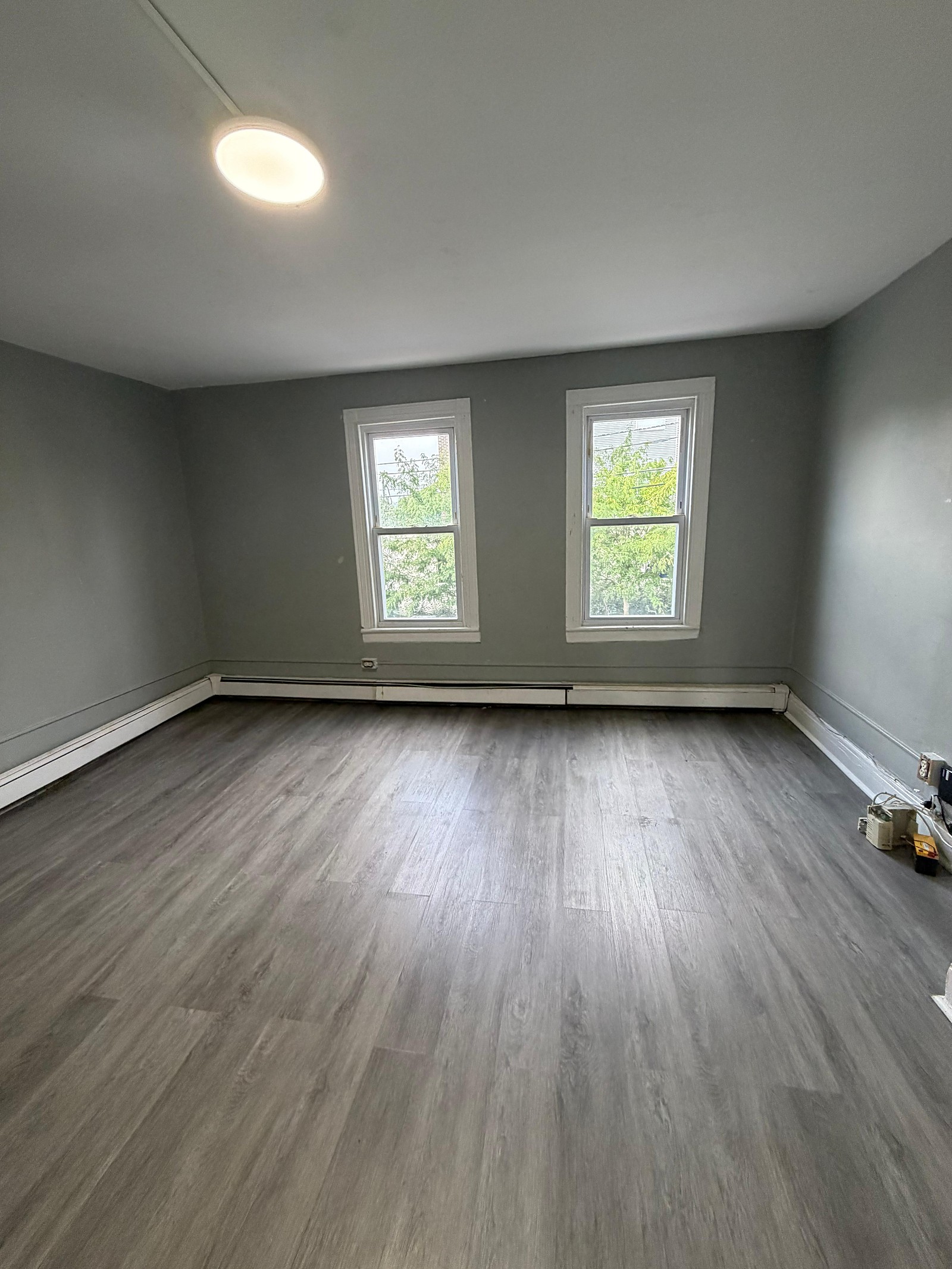 Living room with plank flooring and natural light